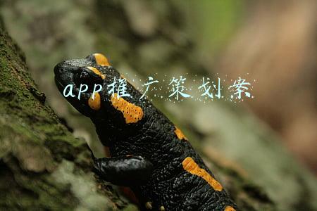 app推广策划案