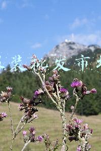 广州服装批发市场攻略