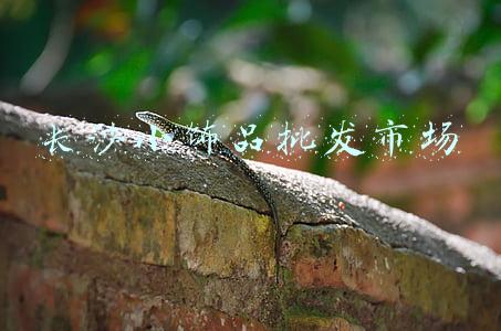 长沙小饰品批发市场