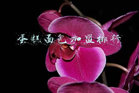蛋糕面包加盟排行
