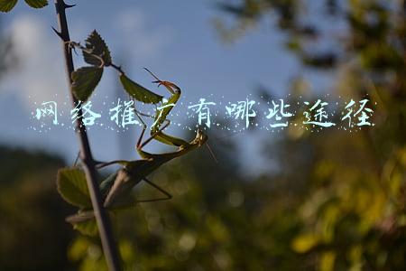 互联网营销推广渠道(公关资源网解读互联网营销方式汇总)