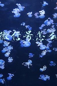 怎样把自己的微信号推广出去(2019最实用的8种精准微信引流方法教程)