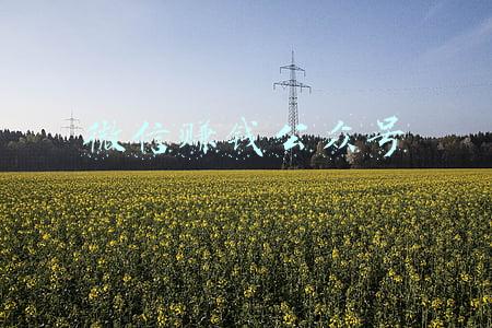 微信赚钱公众号