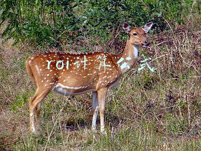 roi计算公式