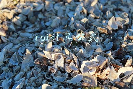 roi计算公式
