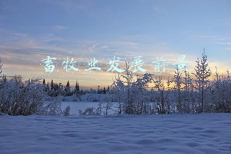 畜牧业发展前景