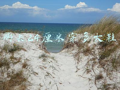 脚长24厘米穿多大鞋