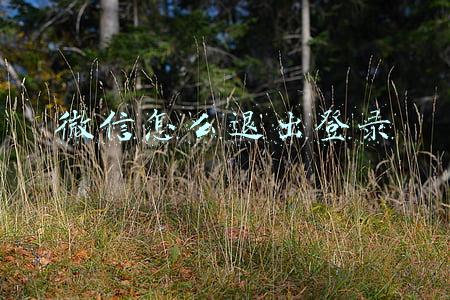 微信怎么退出登录