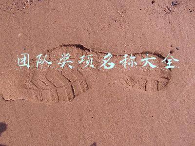 团队奖项名称大全