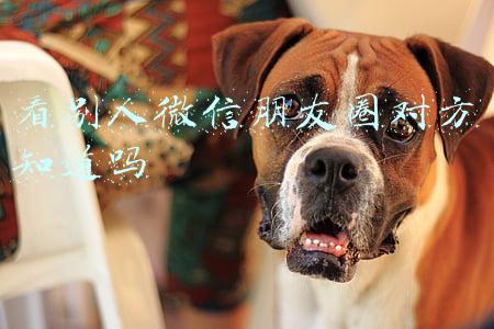 看别人微信朋友圈对方知道吗
