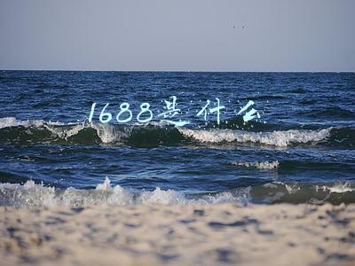 1688是什么意思网络用语(你的1688没生意，不是流量变贵了，而是你的转化太低了)