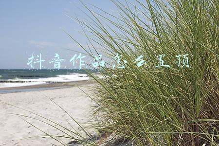 抖音作品怎么置顶