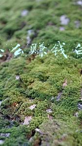 00后怎么赚钱白手起家