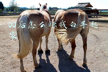 00后怎么赚钱白手起家