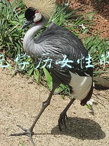 没学历的女孩子适合做什么工作(没有学历，没有技术，能干什么工作？)