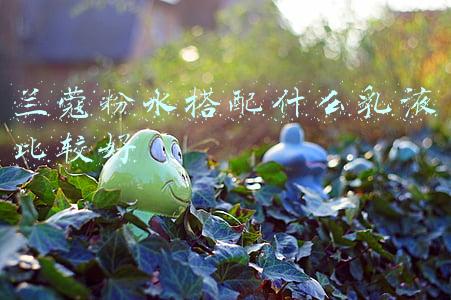 兰蔻粉水搭配什么乳液比较好