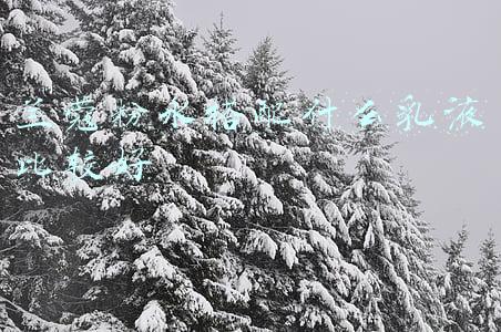 兰蔻粉水搭配什么乳液比较好
