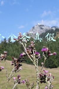 ysl小金条真假辨别