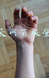 中天网页版登录