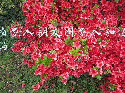 看别人朋友圈别人知道吗
