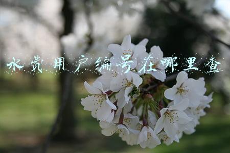 水费用户名称在哪里查(二手房的水、电过户)