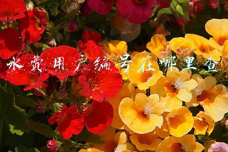怎么查询供水用户编号(缴费小程序输姓名和手机号就能查住址？深圳水务集团：已反馈后台处理)