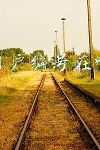 水费用户编号在哪里查