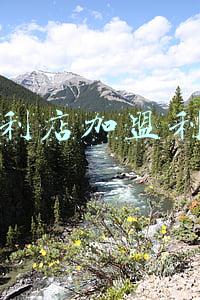 便利店加盟利润