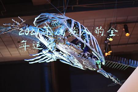 2022年属狗人的全年运势(2022年最幸运有福气的五大生肖，看看有没有你)