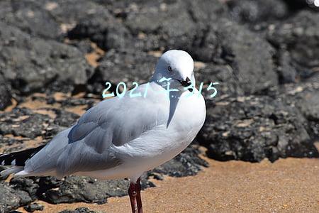 2021年315