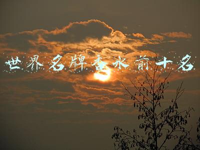 世界名牌香水前十名