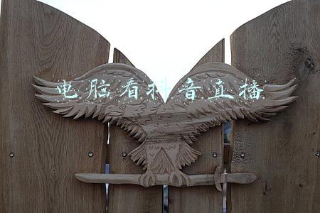 电脑看抖音直播