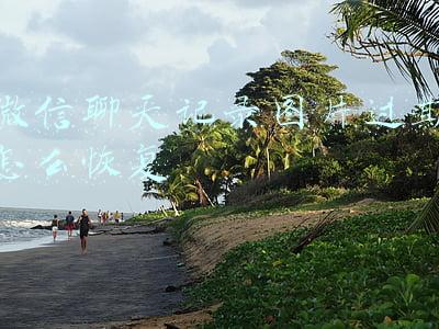 微信聊天记录图片过期怎么恢复