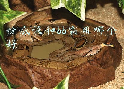 粉底液和bb霜用哪个好