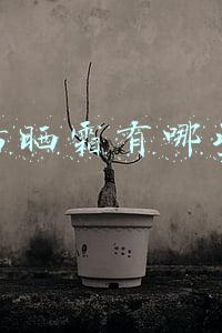 物理防晒霜有哪些牌子