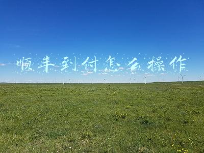 顺丰到付怎么操作