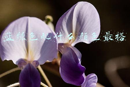 蓝绿色配什么颜色最搭