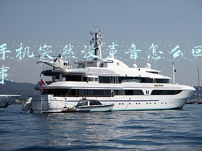 手机突然没声音怎么回事