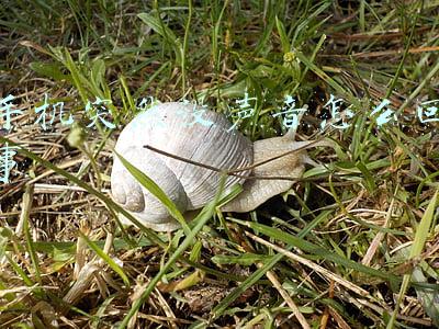 苹果6s手机突然没声音怎么回事(苹果6s扬声器没声音，也没振动；附三星Galaxy S8拆机)