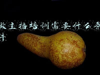 做主播需要具备什么条件(微博超话主持人怎么申请？需要满足哪些申请条件？)