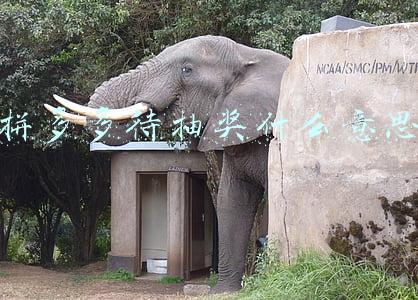 拼多多待抽奖什么意思