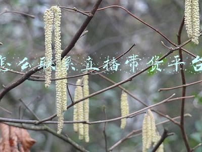 怎么联系直播带货平台