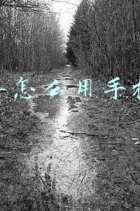 公交车怎么用手机支付