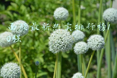 面膜最新热卖排行榜10强