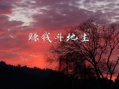 赚钱斗地主