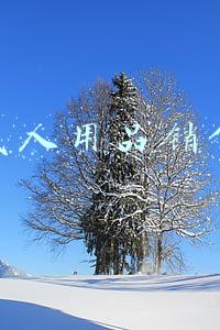 成人用品销售渠道(成人用品如何营销)