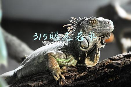 315曝光名单