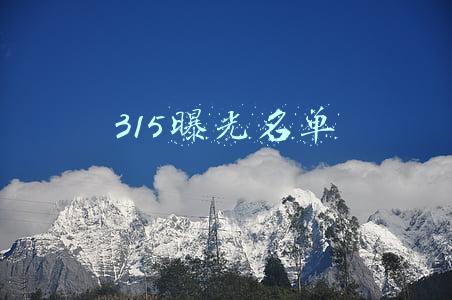 315曝光名单