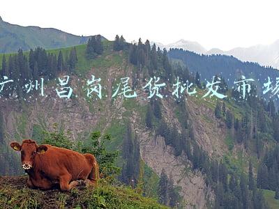 广州昌岗尾货批发市场在地铁哪个出口(广州女装尾货市场有几个，在哪里？2~3块一条牛仔裤是真的吗)