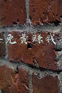 明年免费赚钱买卖